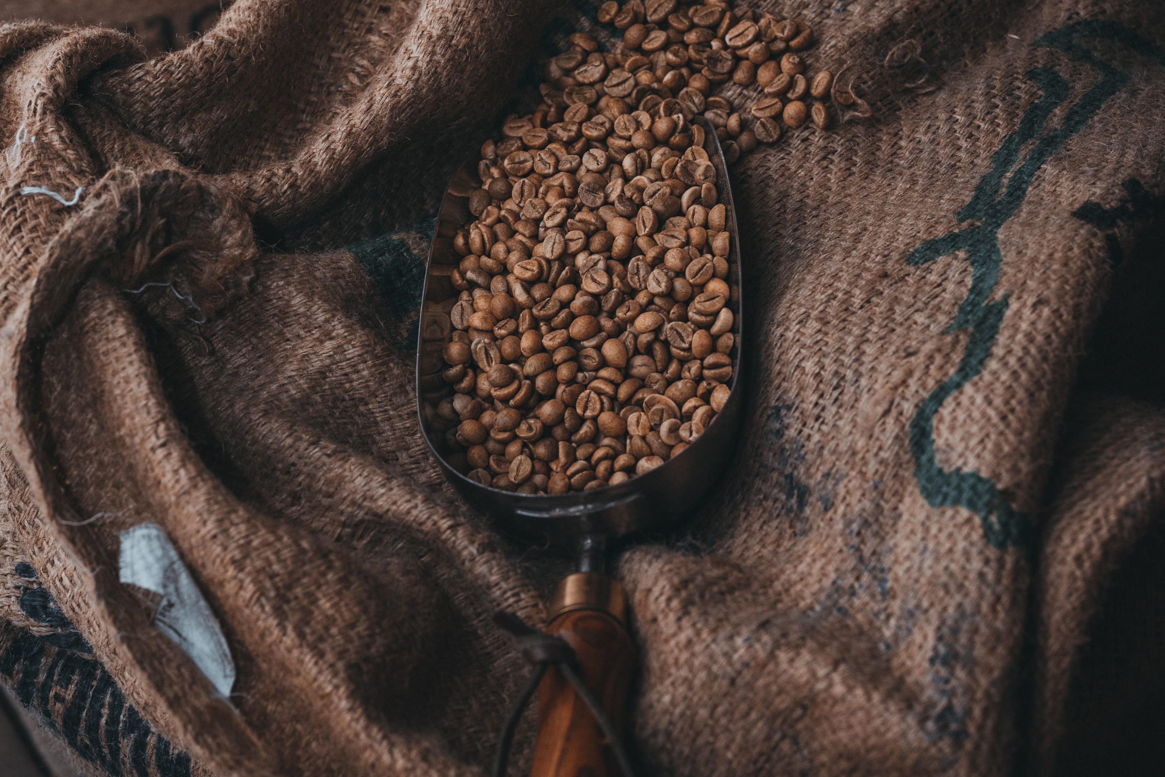 Ancient coffee beans and brewing